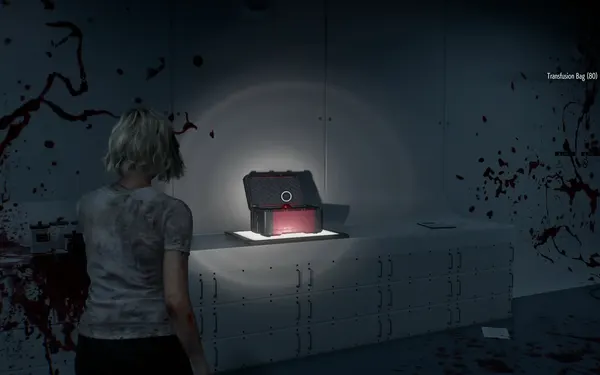 El estuche de la Cleanroom con la Animus Orb, una de las dos orbes de los Archives.